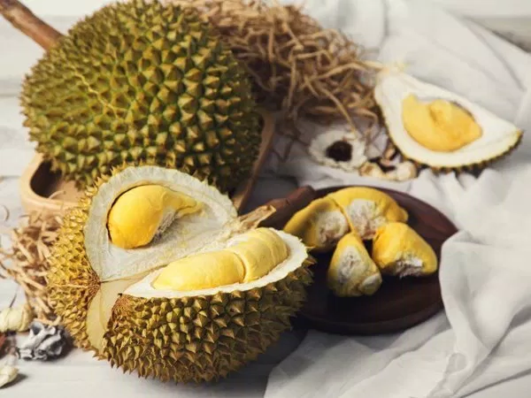 Điểm danh 5 giống sầu riêng được ưa chuộng nhất tại Việt Nam