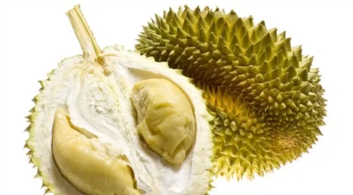 ẩm thực, điểm danh 5 giống sầu riêng được ưa chuộng nhất tại việt nam