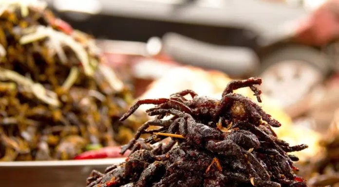 ẩm thực, món ngon, nhện đen chiên giòn – đặc sản campuchia thử độ can đảm của bạn