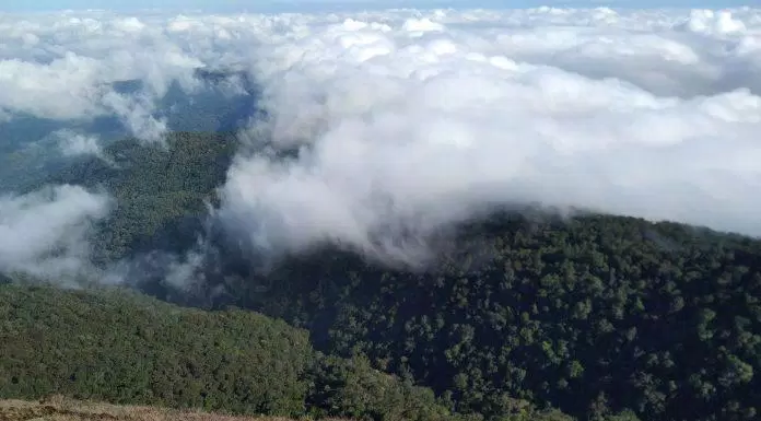du lịch, việt nam, kinh nghiệm trekking chư yang lăk: khám phá “biển mây” giữa tây nguyên đại ngàn