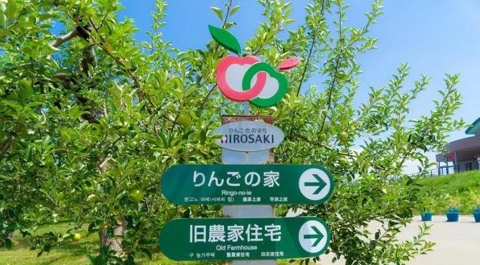 du lịch, châu á, du lịch nhật bản đắm chìm trong vườn táo mùa thu ở hirosaki