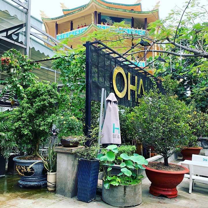Top 10 Quán Cafe Ở Quận 2 Đẹp, Yên Tĩnh Có Sân Vườn - Alongwalker