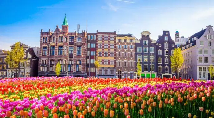 du lịch, châu âu, 10 việc phải thử một lần khi đến amsterdam – thành phố của những chiếc xe đạp