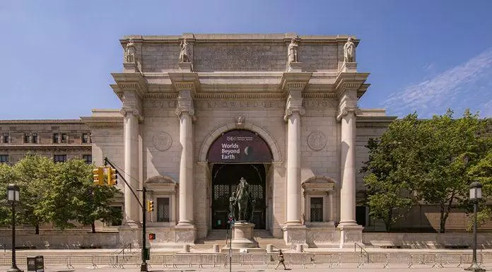 Tham quan Bảo tàng Lịch sử Tự nhiên Mỹ khi du lịch New York – Hoành tráng hơn cả trong phim!