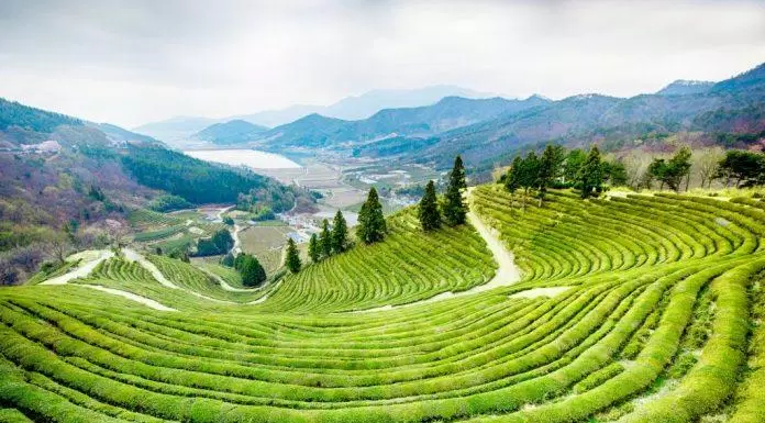 du lịch, châu á, khám phá jeollanam-do với 8 địa điểm đầy cảm hứng cho những ai yêu hàn quốc