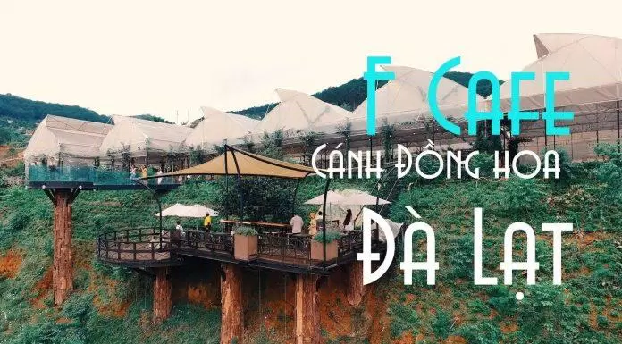 du lịch, việt nam, 6 quán cà phê tại đà lạt cực chill để bạn đắm mình vào không gian thơ mộng