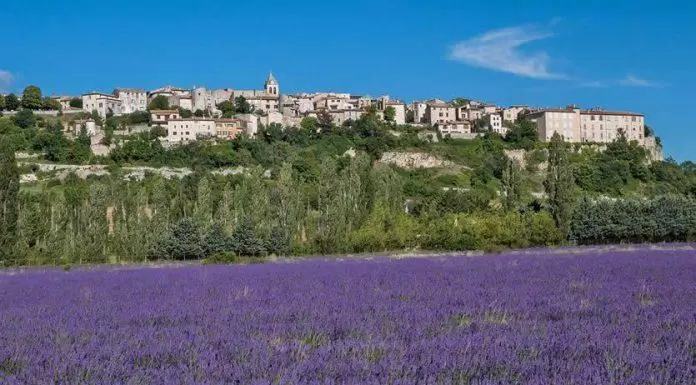 du lịch, châu âu, ngắm hoa oải hương vùng provence – thiên đường mộng mơ giữa mùa hè nước pháp!
