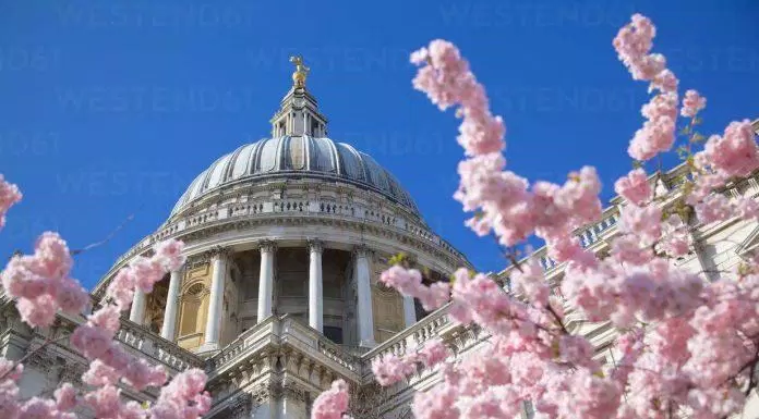 du lịch, châu âu, mùa xuân london có hoa anh đào! nhưng phải đến đâu để ngắm hoa đẹp nhất?