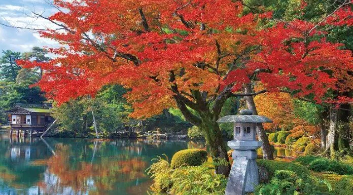 du lịch, châu á, vườn kenrokuen tại nhật bản – thiên đường tuyệt đẹp kết hợp sáu yếu tố kỳ diệu của tự nhiên và con người!