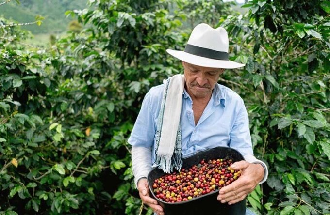 Du lịch Cà phê – Định hướng trong việc đa dạng hóa sản phẩm du lịch Việt Nam