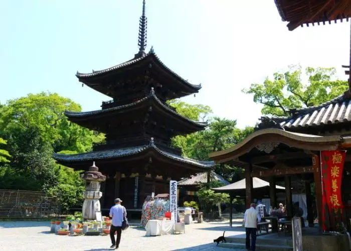 du lịch, châu á, du lịch nhật bản cực chất với 5 trải nghiệm ở thành matsuyama