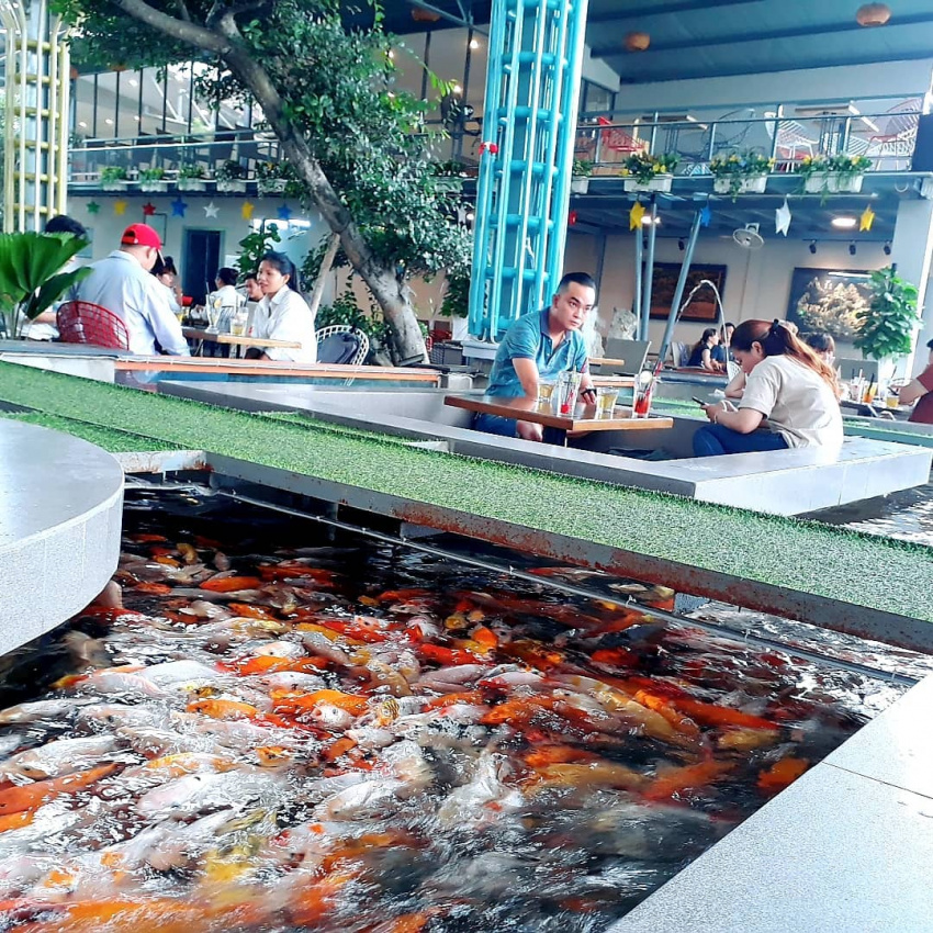 top 10 quán cafe cá koi tphcm để thư giãn cuối tuần