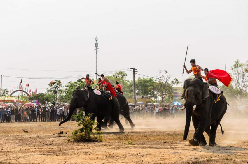 daklak, du lịch lễ hội, đua voi, đua voi buôn mê thuột, đua voi ở tây nguyên, lễ hội đua voi, văn hóa, nét độc đáo của lễ hội đua voi ở tây nguyên 2020