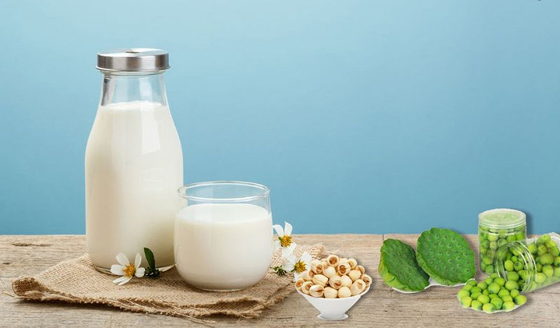 12 công thức sữa hạt đơn giản tốt cho cả nhà bạn có thể tự làm tại nhà