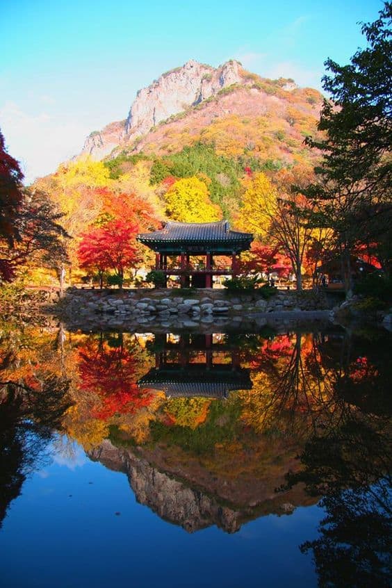 du lịch seoul mùa thu, top 10 điểm du lịch mùa thu hàn quốc đẹp đến “mê hồn”