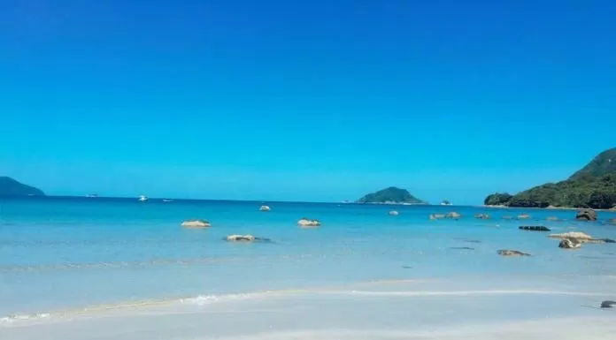 Kinh nghiệm du lịch Côn Đảo, hòn đảo kỳ thú bậc nhất thế giới
