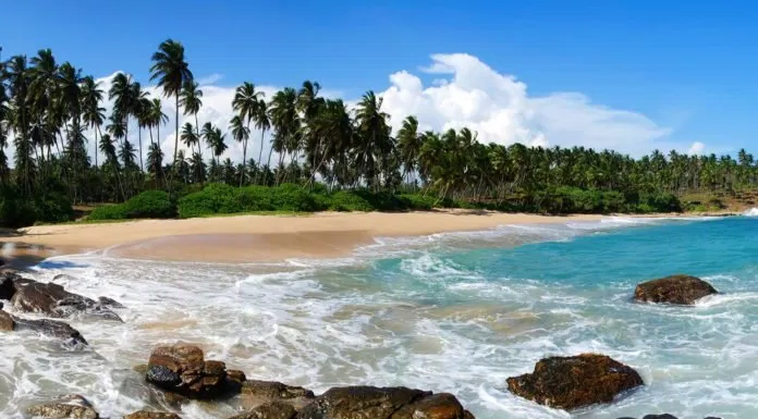 du lịch, châu á, du lịch châu á: những bãi biển đẹp tuyệt ở sri lanka nên ghé qua