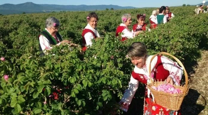 du lịch, châu âu, du lịch châu âu: đến bulgaria khám phá thung lũng hoa hồng đẹp “quên lối về”