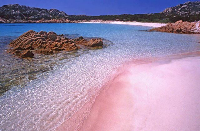 bãi biển màu hồng, biển hồng, biển màu hồng, đẹp “rụng tim” với 8 bãi biển màu hồng kỳ ảo nhất hành tinh