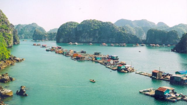 Du lịch vịnh Lan Hạ: “đảo ngọc thiên đường” ở Cát Bà