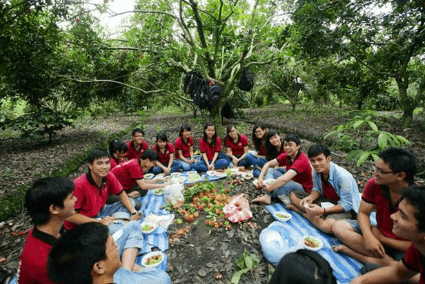 Những vườn cây trái gần Sài Gòn được yêu thích nhất
