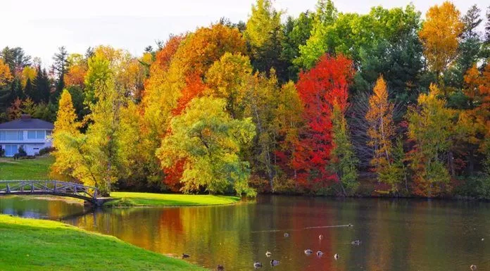 Những hình ảnh đẹp nhất về mùa thu ở Canada