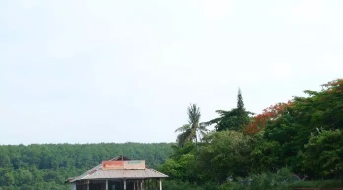Những thiên đường du lịch hoang sơ tại Bình Phước