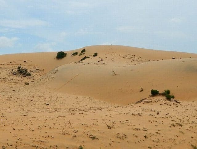 đồi cát phương mai ở đâu, đồi cát quy nhơn, đường đi đồi cát phương mai, kinh nghiệm đi đồi cát phương mai quy nhơn