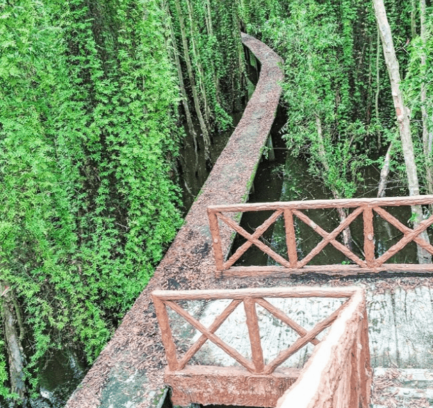 địa điểm du lịch, địa điểm hẹn hò ngày 8/3, địa điểm vui chơi 8/3, ngày 8-3, tuc trong ngay, viet n, 10 địa điểm picnic gần sài gòn thích hợp để đi trốn đầu năm