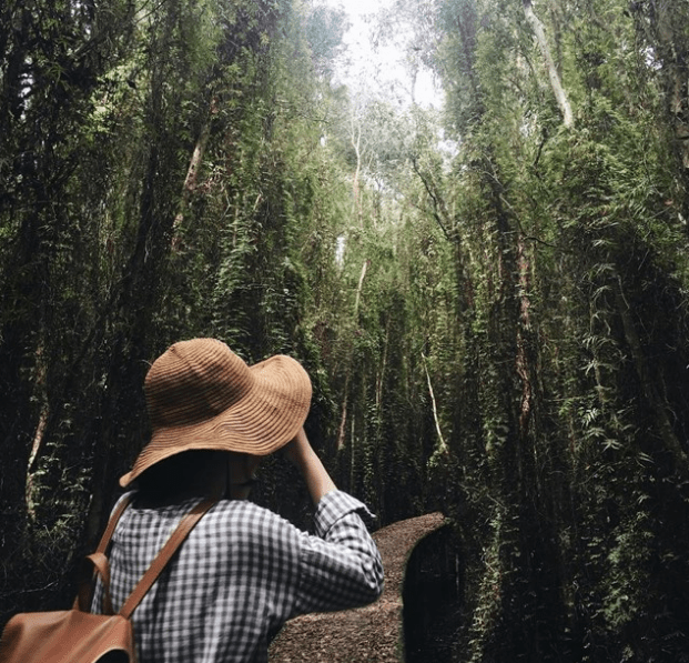 địa điểm du lịch, địa điểm hẹn hò ngày 8/3, địa điểm vui chơi 8/3, ngày 8-3, tuc trong ngay, viet n, 10 địa điểm picnic gần sài gòn thích hợp để đi trốn đầu năm