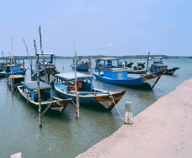 địa điểm du lịch, địa điểm hẹn hò ngày 8/3, địa điểm vui chơi 8/3, ngày 8-3, tuc trong ngay, viet n, 10 địa điểm picnic gần sài gòn thích hợp để đi trốn đầu năm