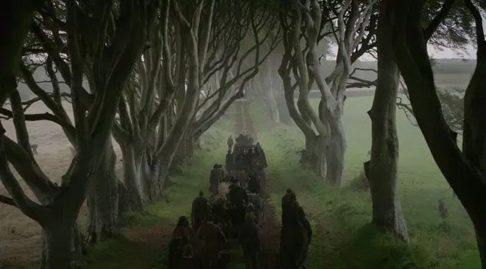 du lịch, châu âu, vẻ đẹp huyền bí của hàng cây dark hedges trong game of thrones