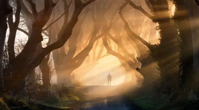 du lịch, châu âu, vẻ đẹp huyền bí của hàng cây dark hedges trong game of thrones