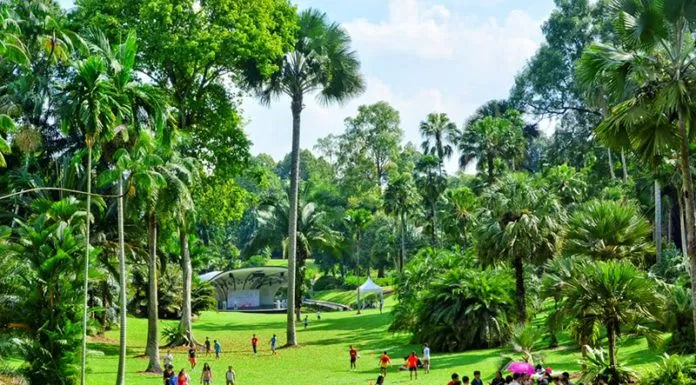 du lịch, châu á, 7 địa điểm tham quan miễn phí tuyệt nhất singapore