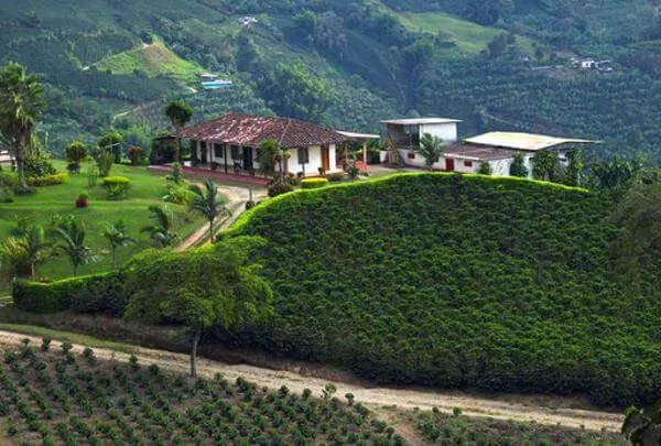 du lịch, châu mỹ, say lòng với “tam giác cà phê” ở colombia