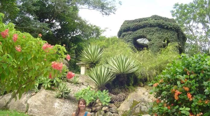 du lịch, châu mỹ, đến thăm “vườn địa đàng” jardim botanico ở brazil