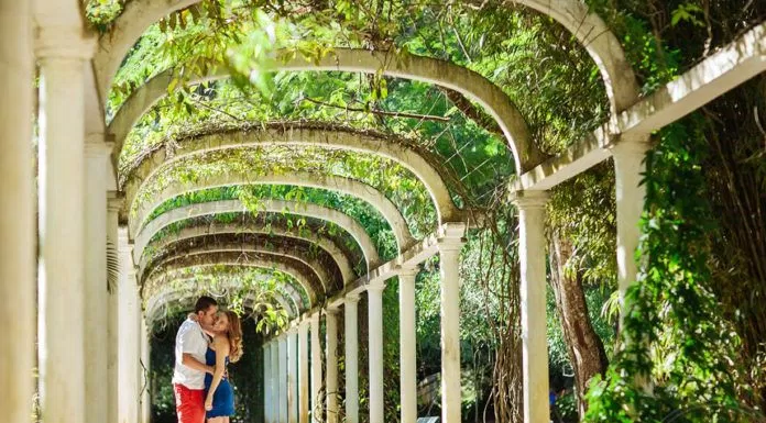 du lịch, châu mỹ, đến thăm “vườn địa đàng” jardim botanico ở brazil