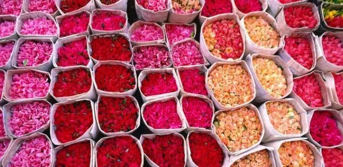 Ngất ngây hương sắc lễ hội hoa hồng ở Maroc