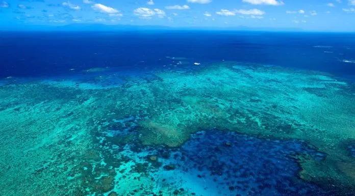 du lịch, châu úc, great barrier reef – tham quan rạn đá ngầm lớn nhất hành tinh