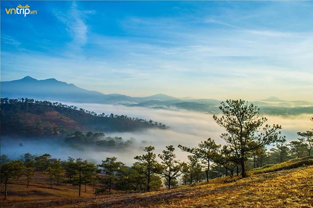 cảnh đẹp ở đà lạt, địa điểm du lịch đà lạt, du lịch đà lạt, 10 địa điểm miễn phí nhất định phải ghé khi đi du lịch đà lạt