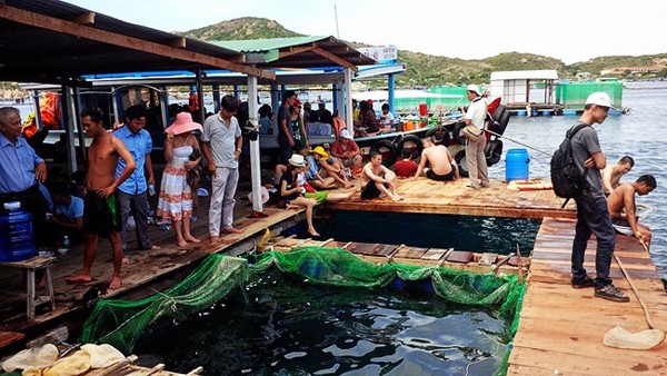 10 Quán hải sản Nha Trang ngon nức tiếng “không thể bỏ qua”