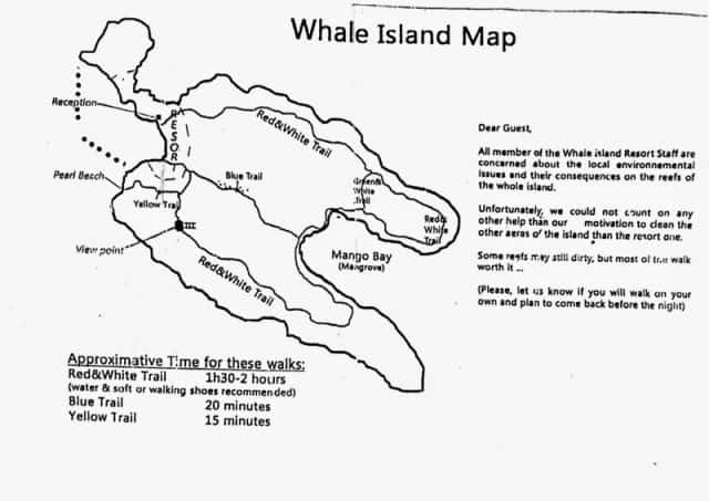 hòn ông island, hòn ông ở khánh hòa, hòn ông ở nha trang, hòn ông vịnh vân phong, whale island, vẻ đẹp hoang sơ yên bình hòn ông (đảo cá voi) nha trang