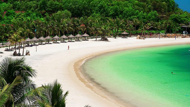 ăn uống tại đảo dừa, bãi đầm tre, cảnh đẹp đảo dừa, vui chơi đảo dừa, những trải nghiệm tuyệt vời tại đảo dừa nha trang