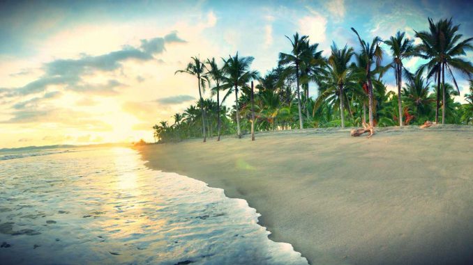 ăn uống tại đảo dừa, bãi đầm tre, cảnh đẹp đảo dừa, vui chơi đảo dừa, những trải nghiệm tuyệt vời tại đảo dừa nha trang