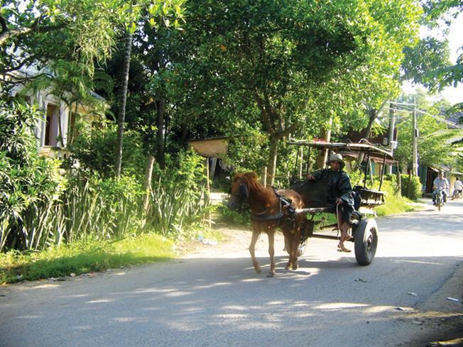Ngắm làng cổ Phú Vinh (Nha Trang) bằng xe ngựa