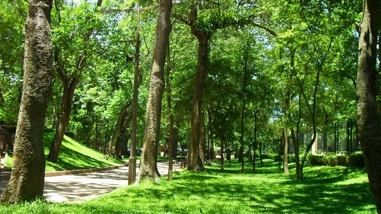 Công viên Bách Thảo: Góc “xanh” bình yên giữa lòng Hà Nội