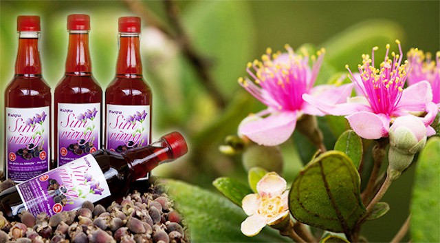 Rượu Sim Phú Quốc – “Nhìn là mê – Uống là nghiện” ngay thôi!
