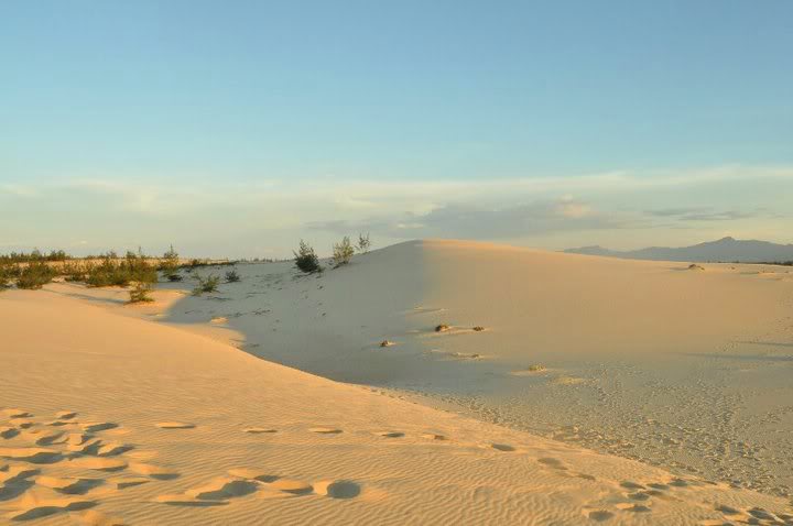 cồn cát quang phú – thiên đường cát ở quảng bình