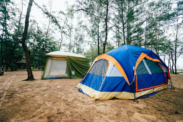 cắm trại, camping, dã ngoại, đia điểm cắm trại, du lịch tam đảo, cuối tuần cắm trại ở tam đảo- tại sao không?