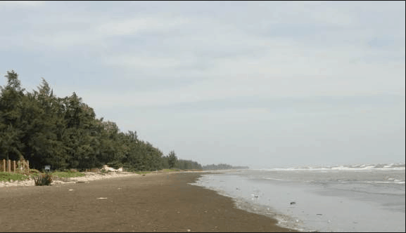 Bối rối khi lạc lối ở bãi biển Cần Giờ – Địa điểm du lịch gần TP. HCM
